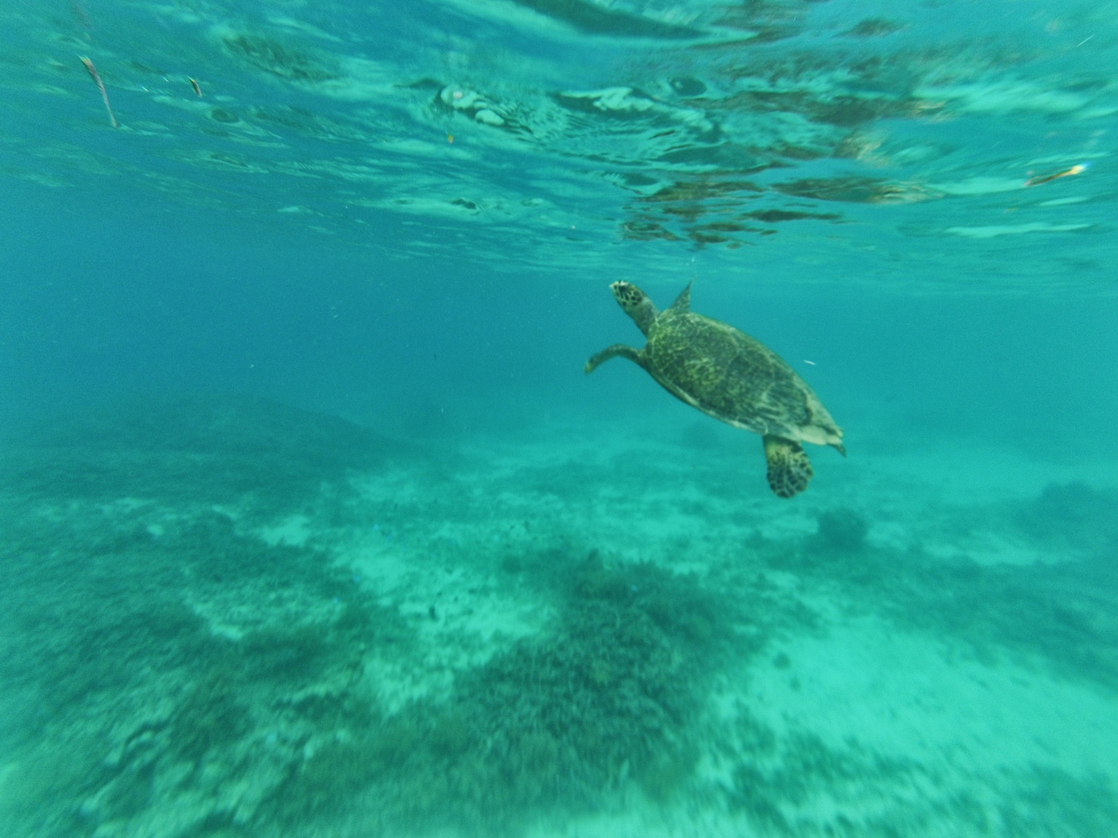 Gili Islands